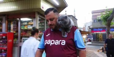 kayip-kedi-tom-4-gun-sonra-bulundu-xQZ7w31e.jpg