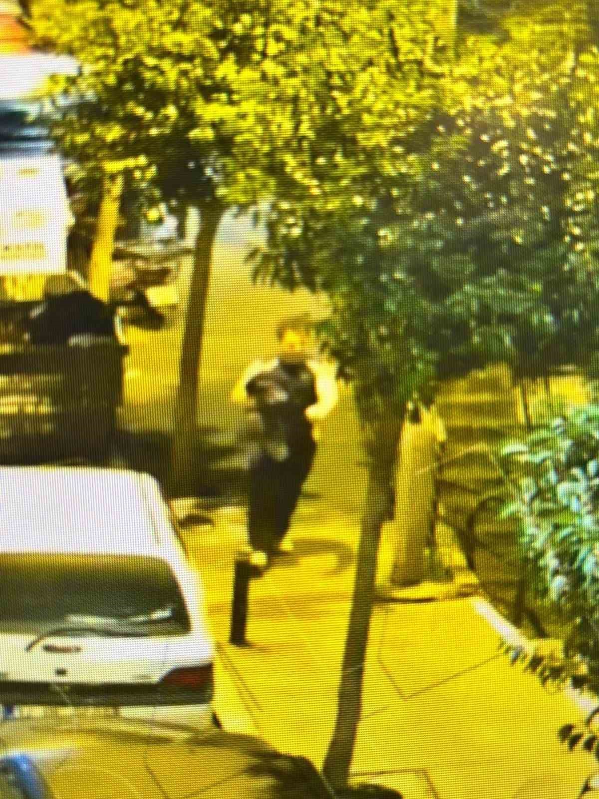 kayip olarak aranan universite ogrencisi deniz ibislerin denize atladigi goruntuler ortaya cikti 2 VKpyXQLE