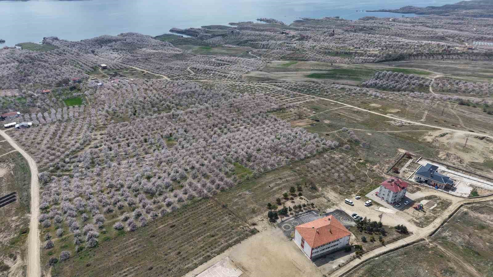 kayisi bahceleri beyaza burundu ortaya essiz manzaralar cikti 16 9gf91nSK