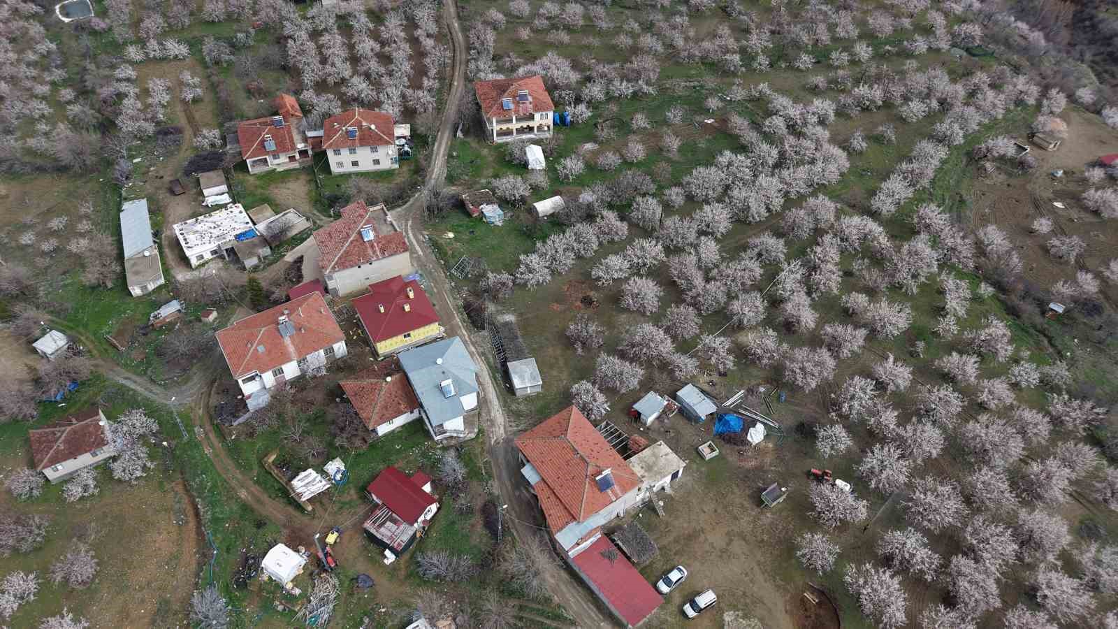 kayisi bahceleri beyaza burundu ortaya essiz manzaralar cikti 4 3LLT6nC2