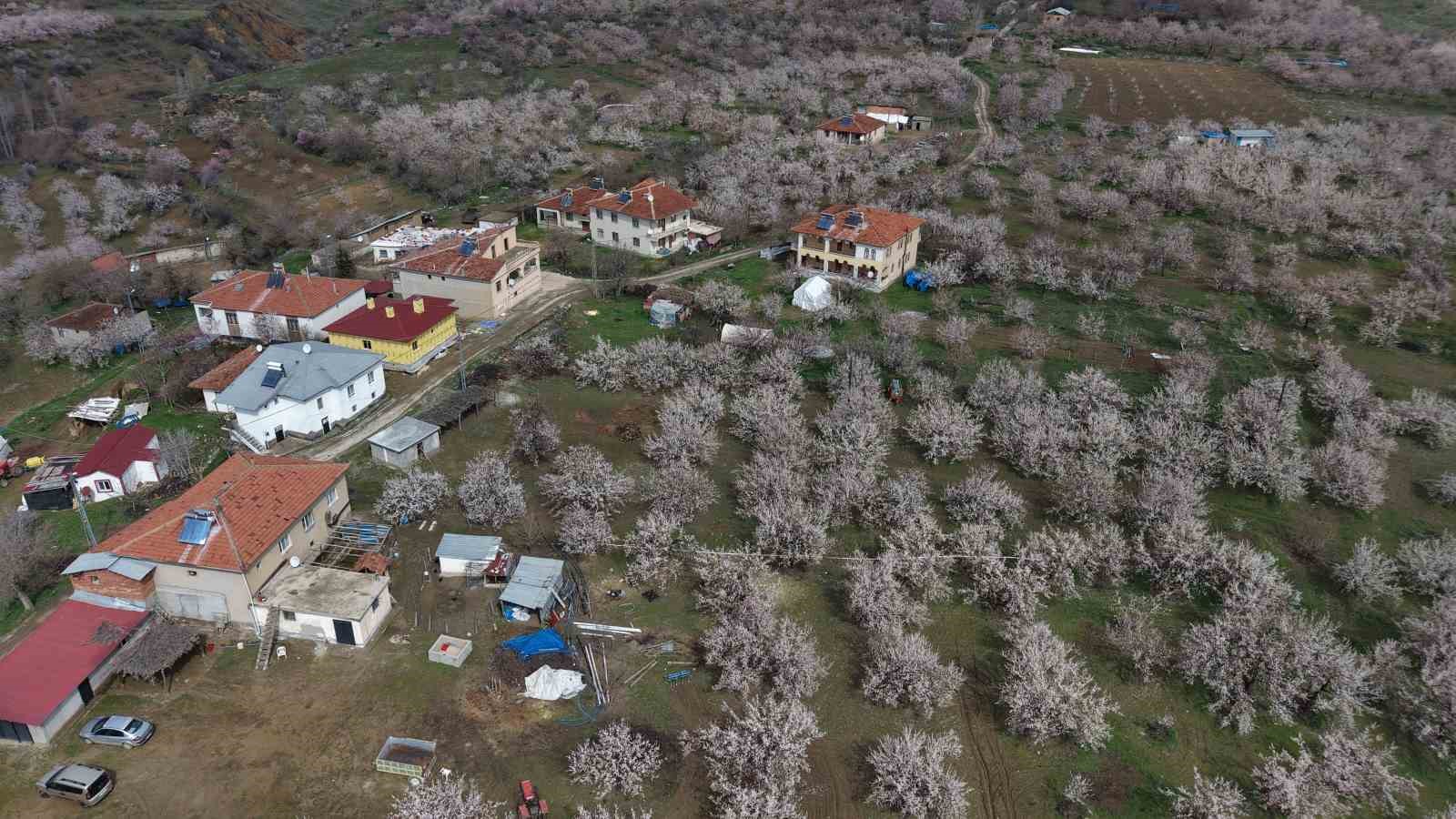 kayisi bahceleri beyaza burundu ortaya essiz manzaralar cikti 5