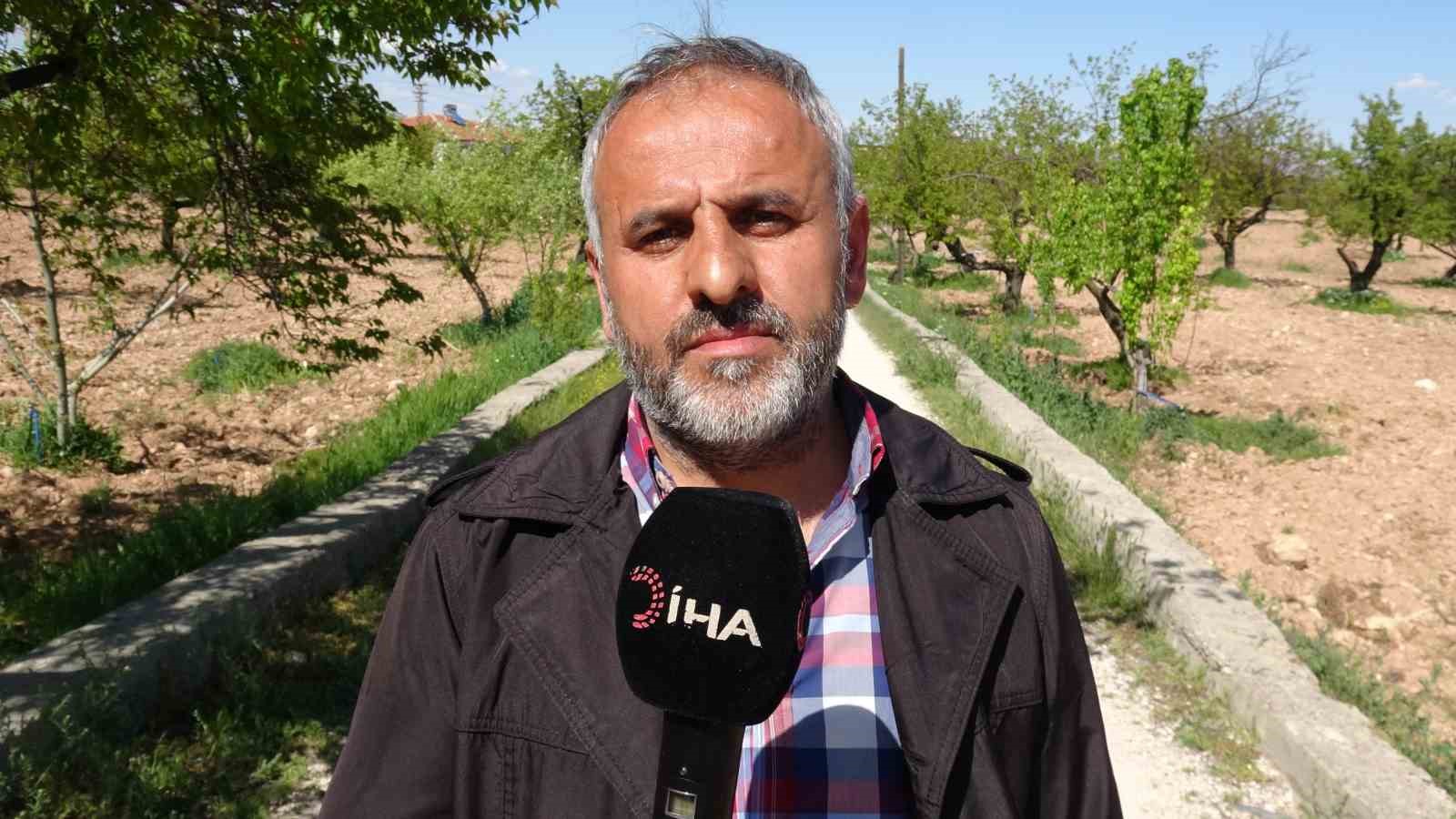 Kayısıda çağla dönemi 6 kayisida cagla donemi 2 BUpPEF5K