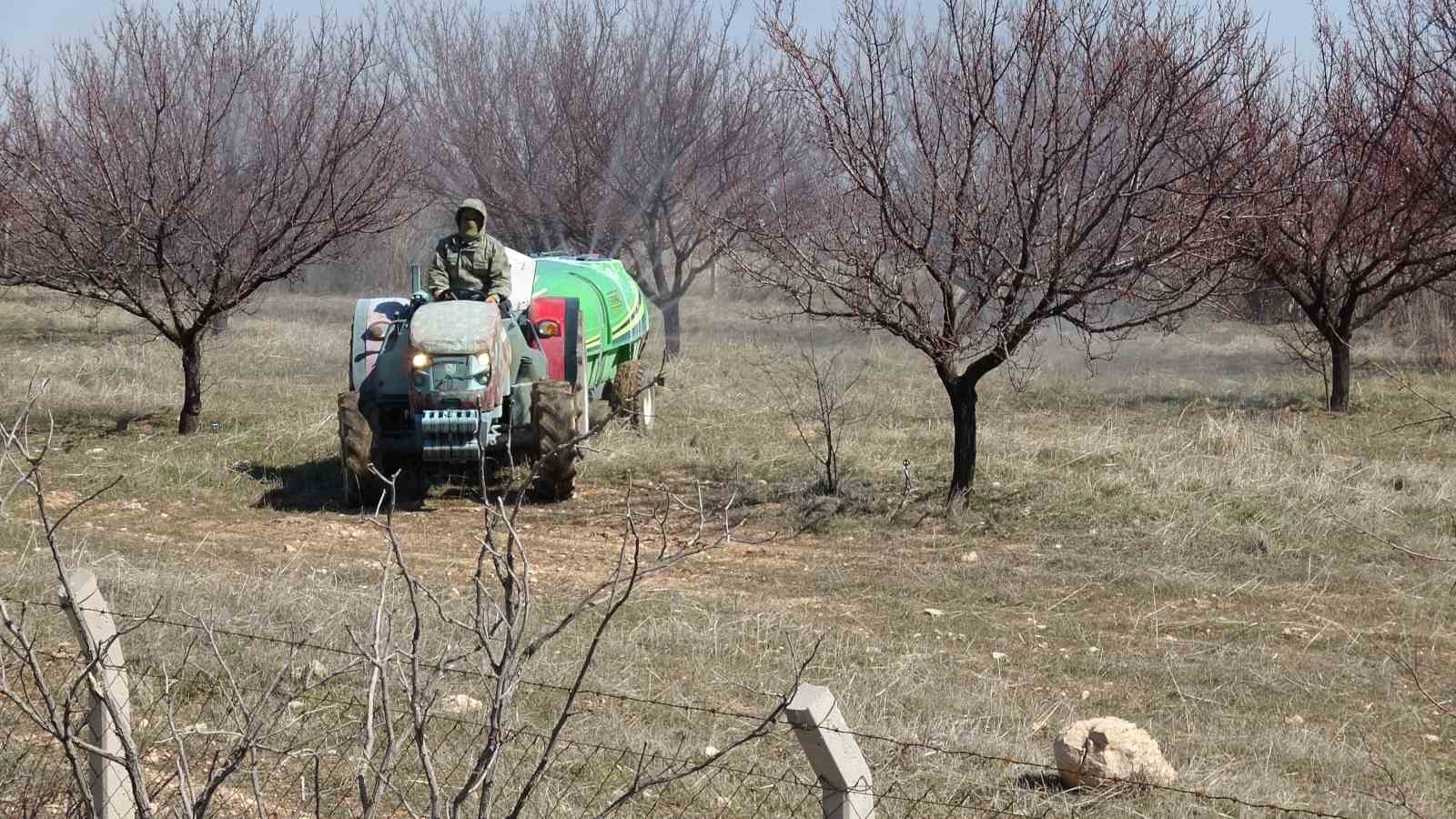 kayisida kritik bakim donemi basladi 0 ZqZEW6jJ