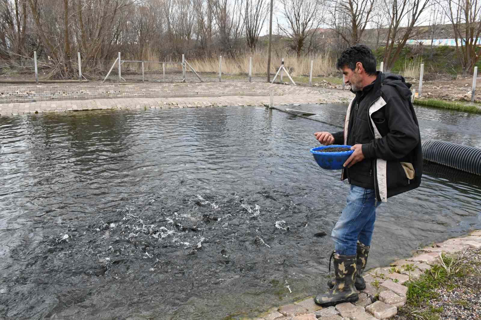 kaynak suyunda yetisiyor vatandas taze taze alip gidiyor 4 KKzrL7UX