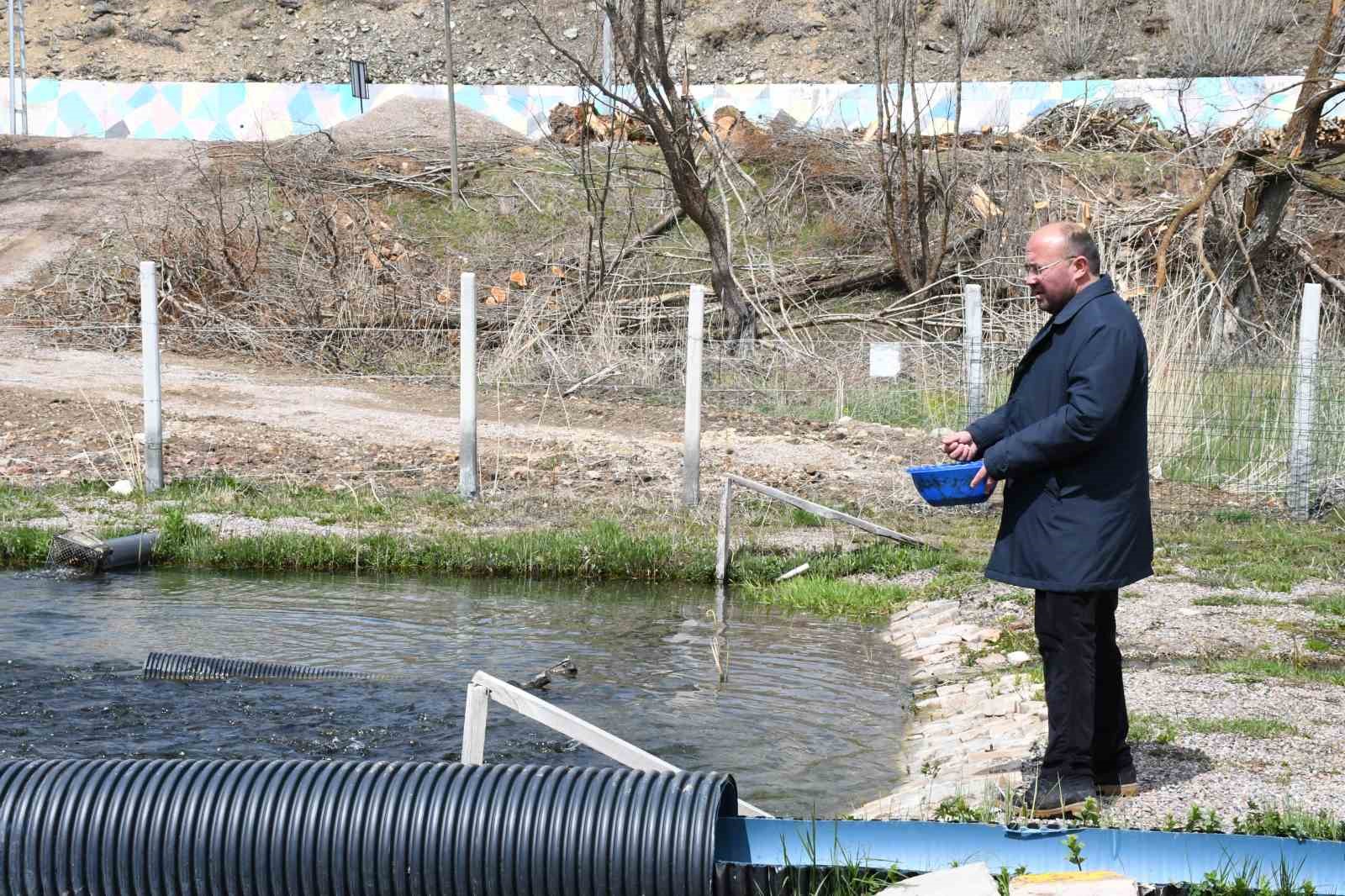 kaynak suyunda yetisiyor vatandas taze taze alip gidiyor 5 268CqHF7