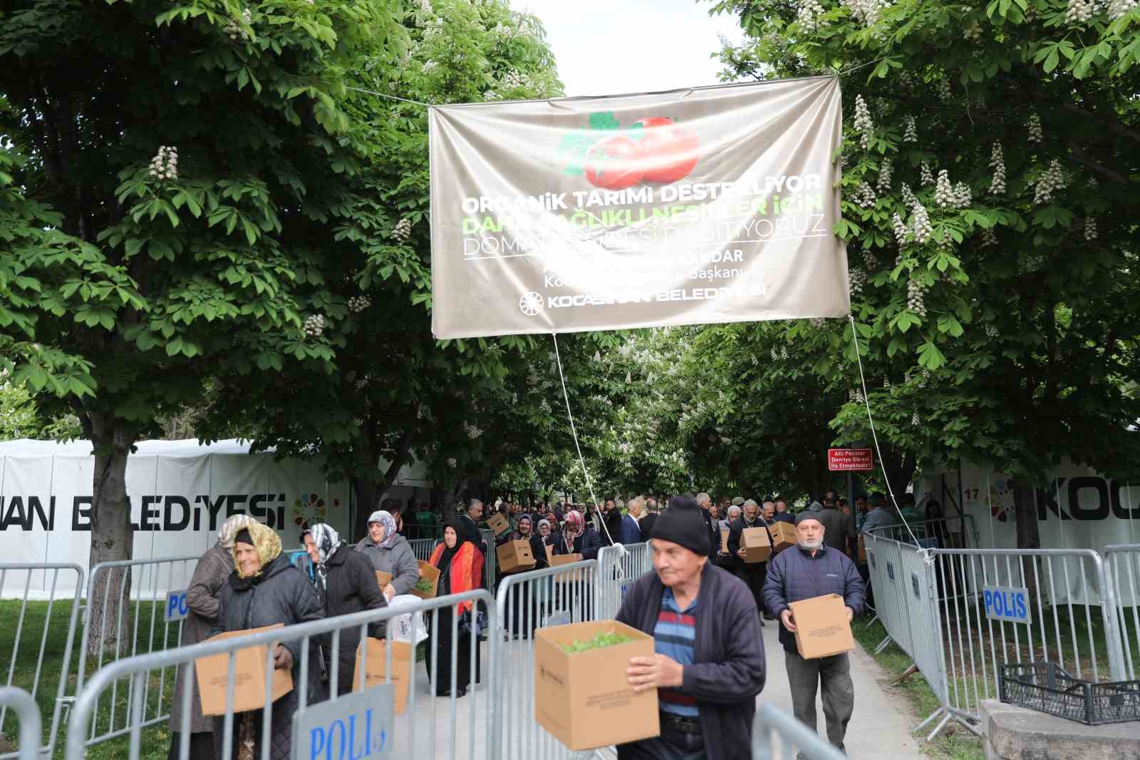 kayseride 300 bin kok organik domates fidesine yogun ilgi 5 zC3PyMGS