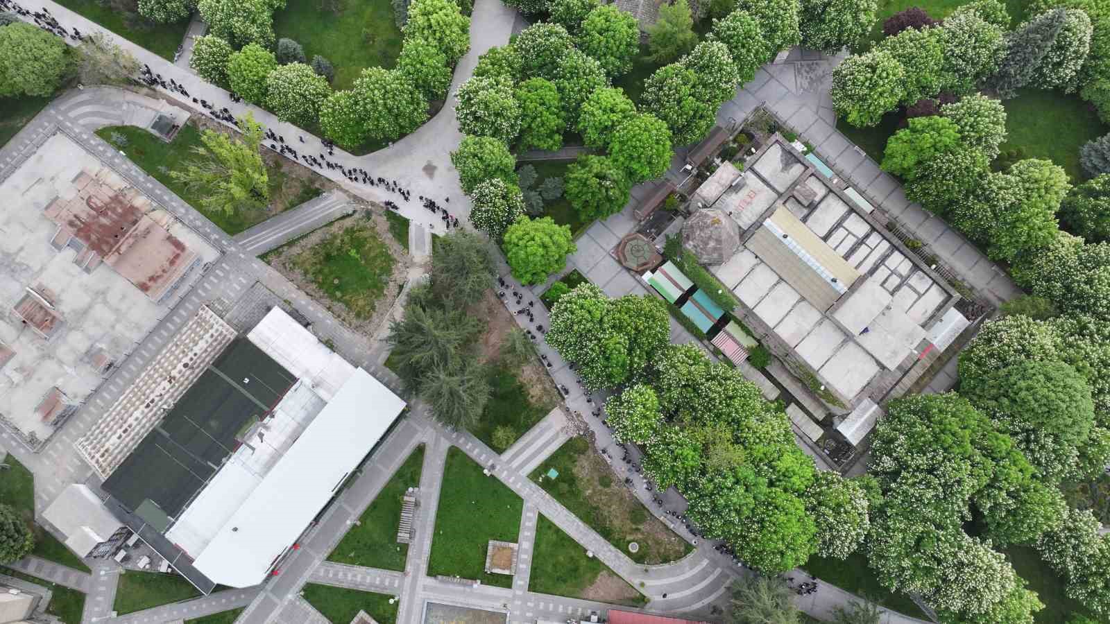 kayseride 300 bin kok organik domates fidesine yogun ilgi 6