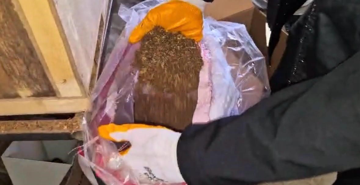 kayseride 49 bin 200 adet kacak makaron ele gecirildi 1 gozalti 1 5DEWgPgA