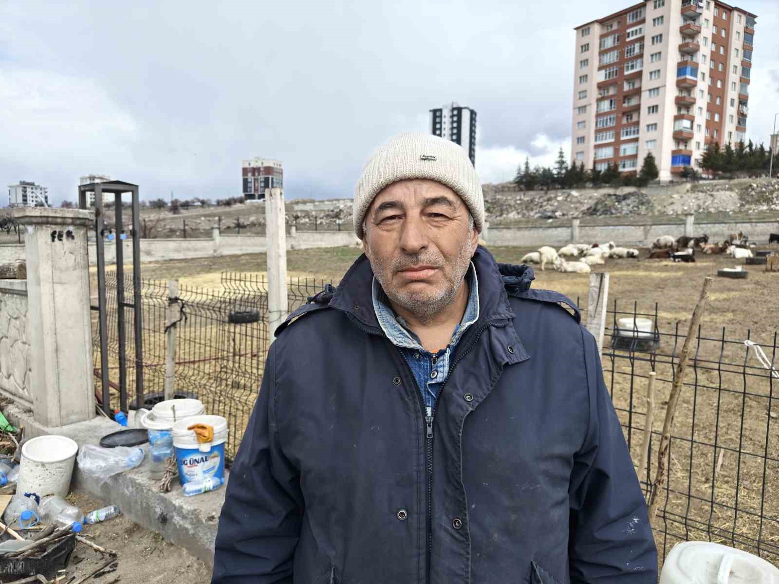 kayseride ahira hayvan saldirdi 6 keci telef 5 keci kayip 2 nyQjZEO2