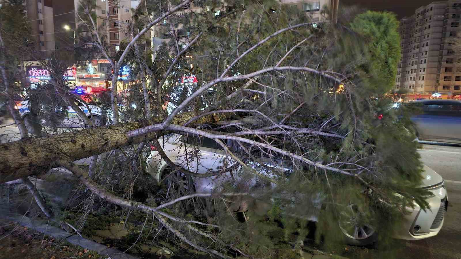 kayseride kuvvetli ruzgar agac otomobilin uzerine devrildi 2 ugyIYXbd