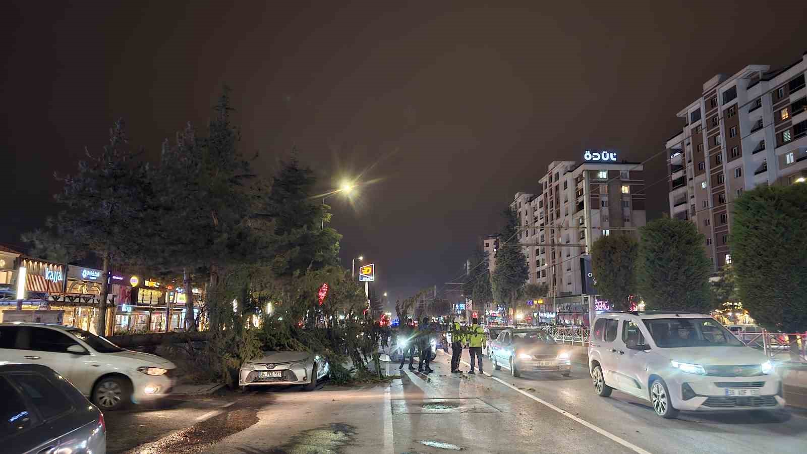 kayseride kuvvetli ruzgar agac otomobilin uzerine devrildi 3 rBTnWjPN