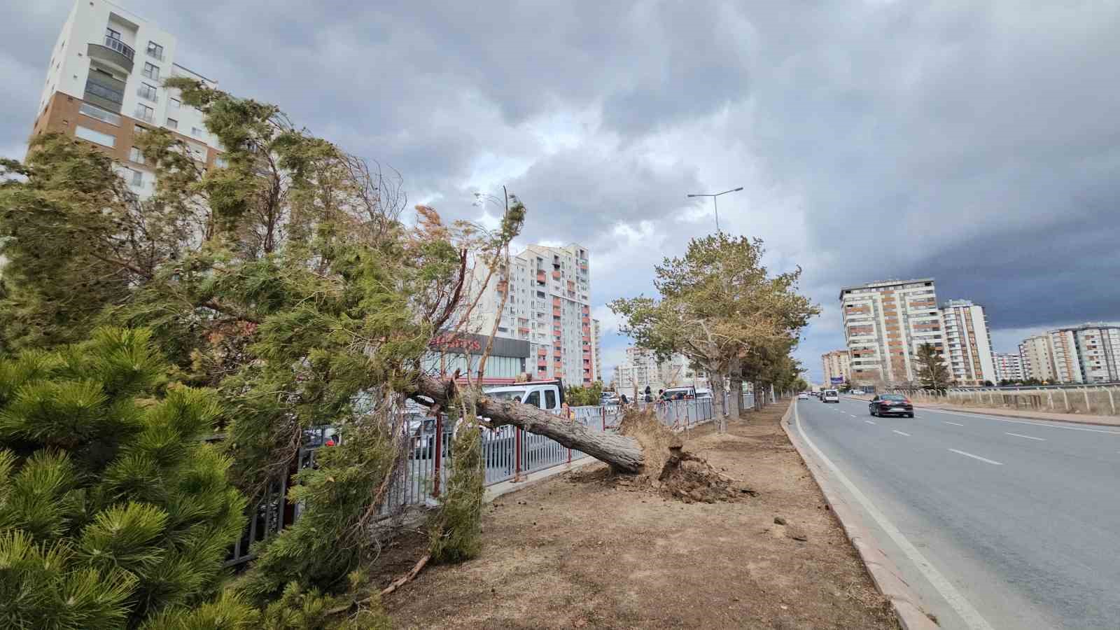 kayseride siddetli ruzgar agaci kokunden soktu 0 CJYUusFd
