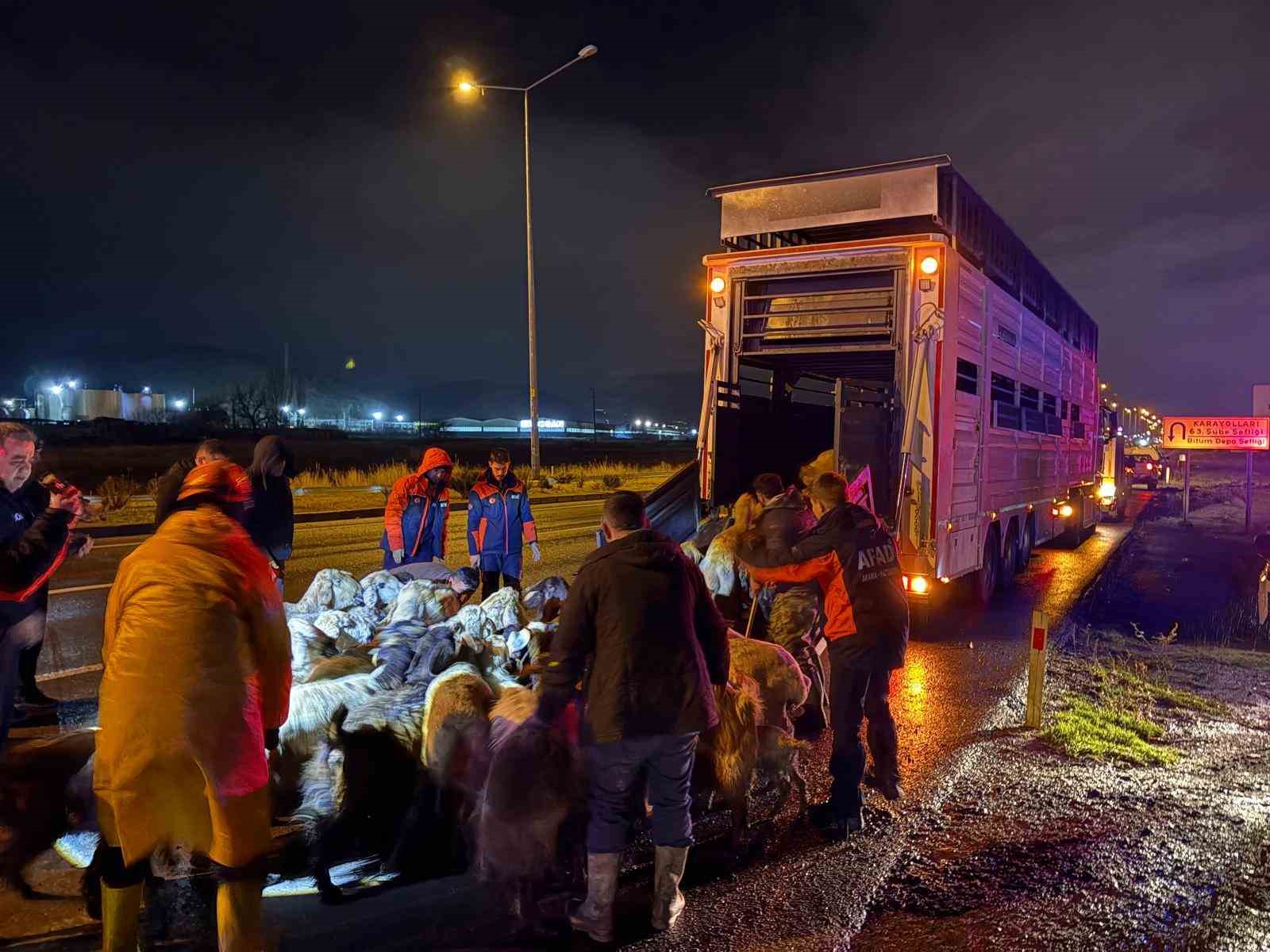 kayseride taskin riski 200 hayvan tahliye edildi 0