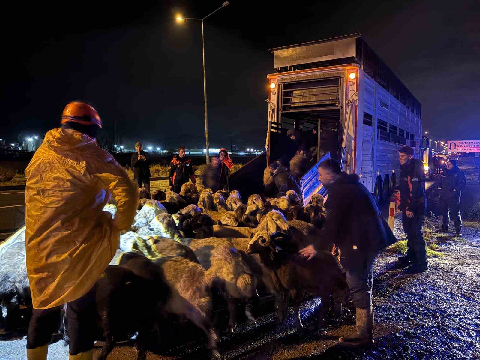kayseride taskin riski 200 hayvan tahliye edildi 1