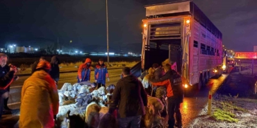 kayseride-taskin-riski-200-hayvan-tahliye-edildi-7S5riCu9.jpg
