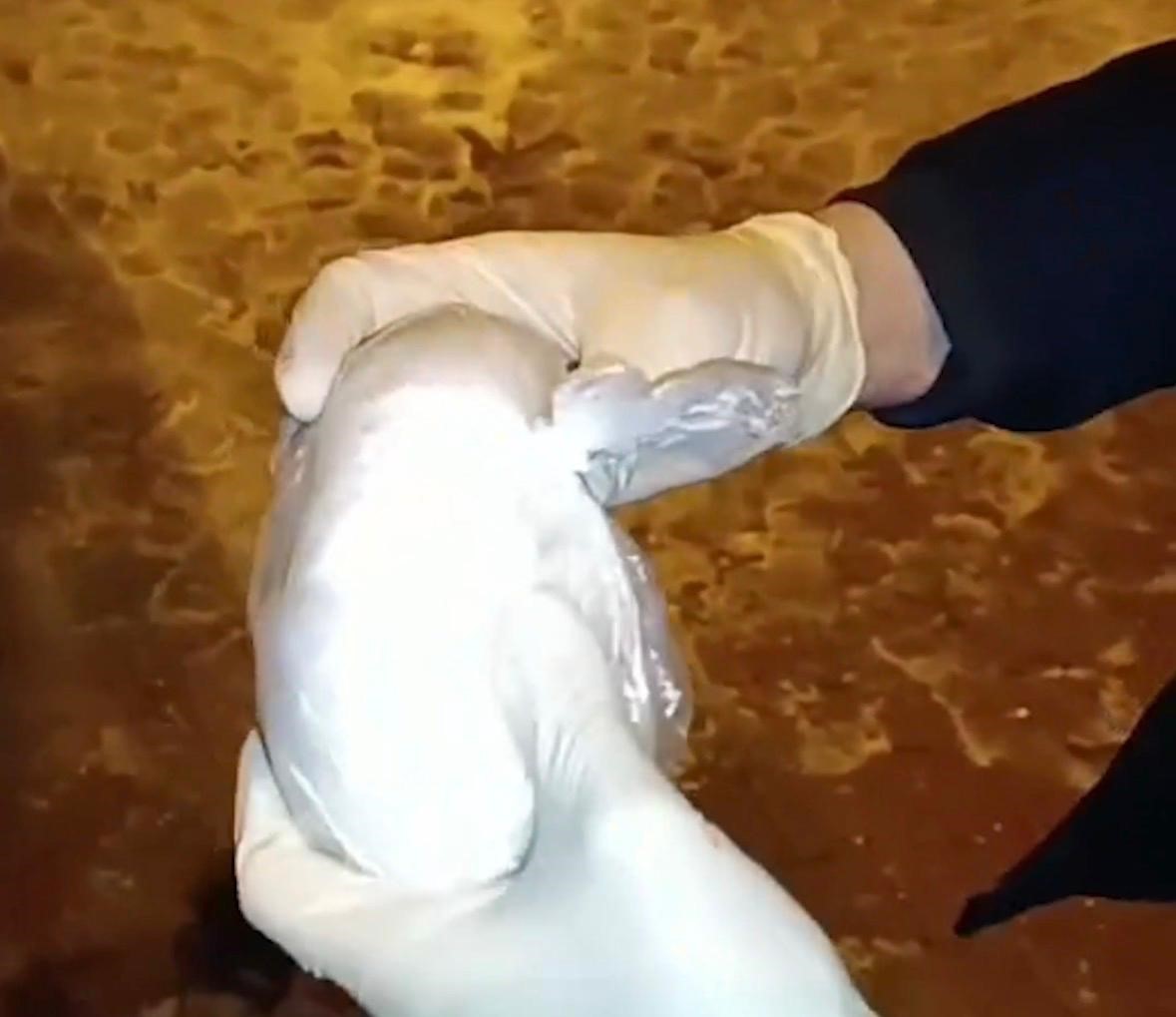 kayseride torbaci operasyonu 1 gozalti 3 cc1wXqAl