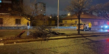 kaza-savrulan-otomobil-agaci-ikiye-boldu-4-yarali-VL6tB9kW.jpg