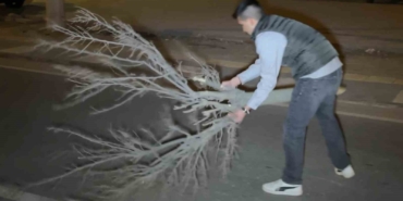 kaza-sonrasi-cam-ve-plastik-parcalariyla-dolan-yolu-vatandas-kirilan-agacla-boyle-temizledi-QnH62cbn.jpg