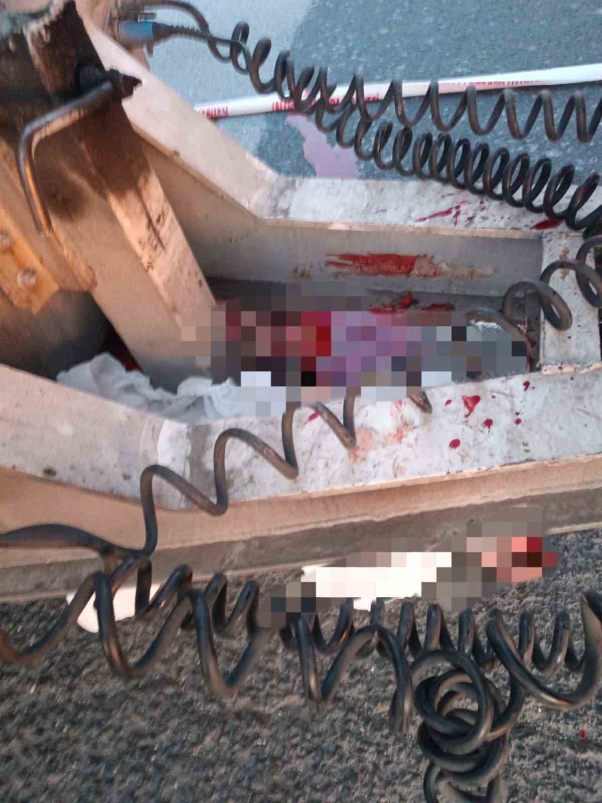 Kazada ölen 24 yaşındaki gencin ailesinden tır sürücüsünün serbest bırakılmasına tepki 7 kazada olen 24 yasindaki gencin ailesinden tir surucusunun serbest birakilmasina tepki 3 AOzNNkmE