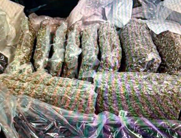 kazakistanda bagajinda 21 kilo esrar tasiyan kadin gozaltina alindi 0 9VNdhGTw