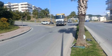 kazaya-karisan-otomobilin-palmiyeye-carpma-ani-kamerada-lzlNaI24.jpg