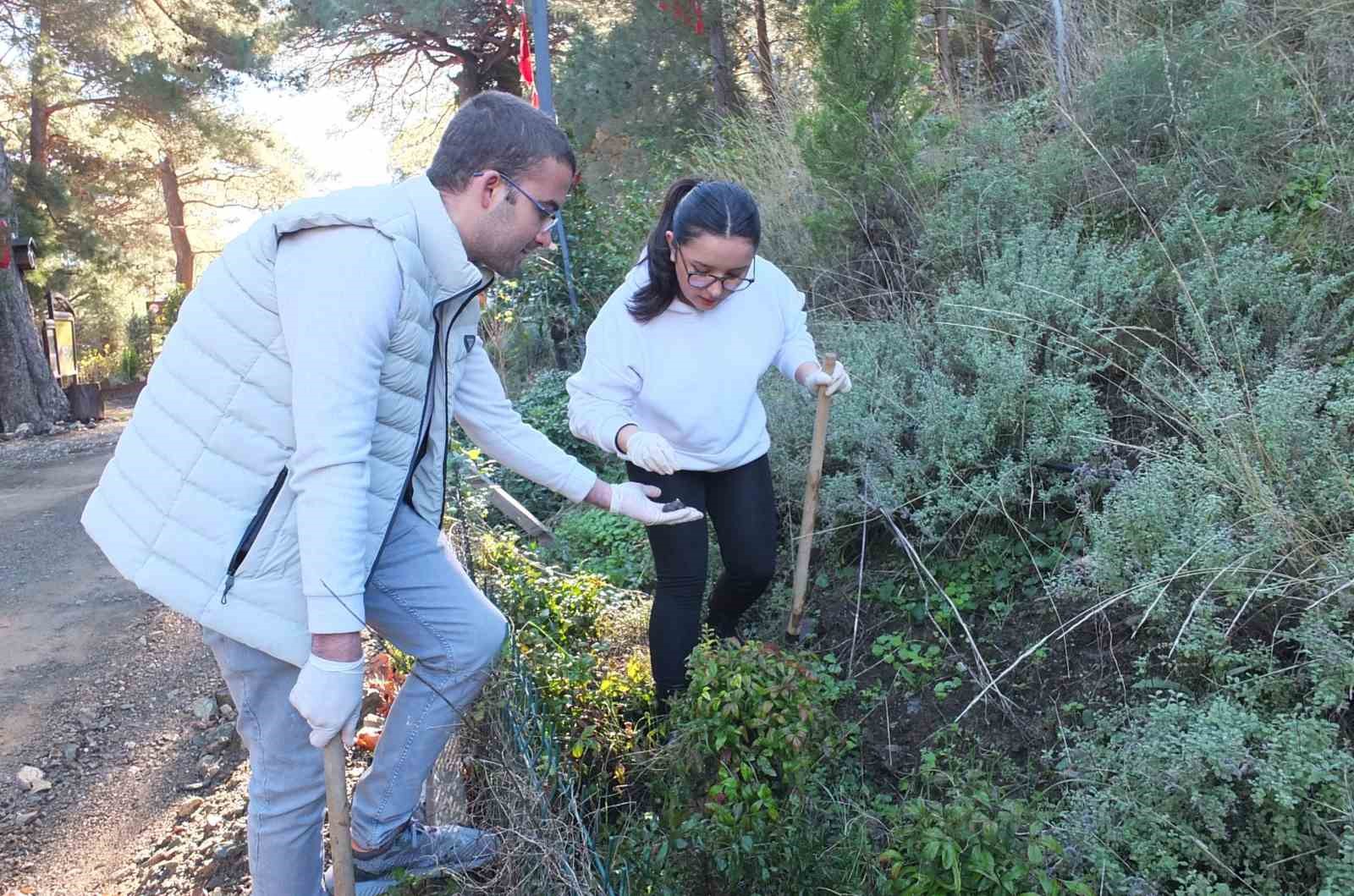 kazdaglarinda bal ormanina universiteli destegi 1 HOFHVIsl