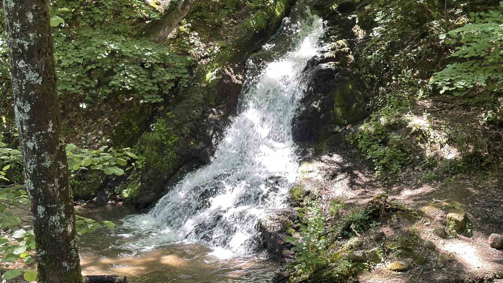 kazdaglarinda gorsel solen 2 ssHeapYw