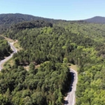 kazdaglarinda-gorsel-solen-M4YaEAge.jpg