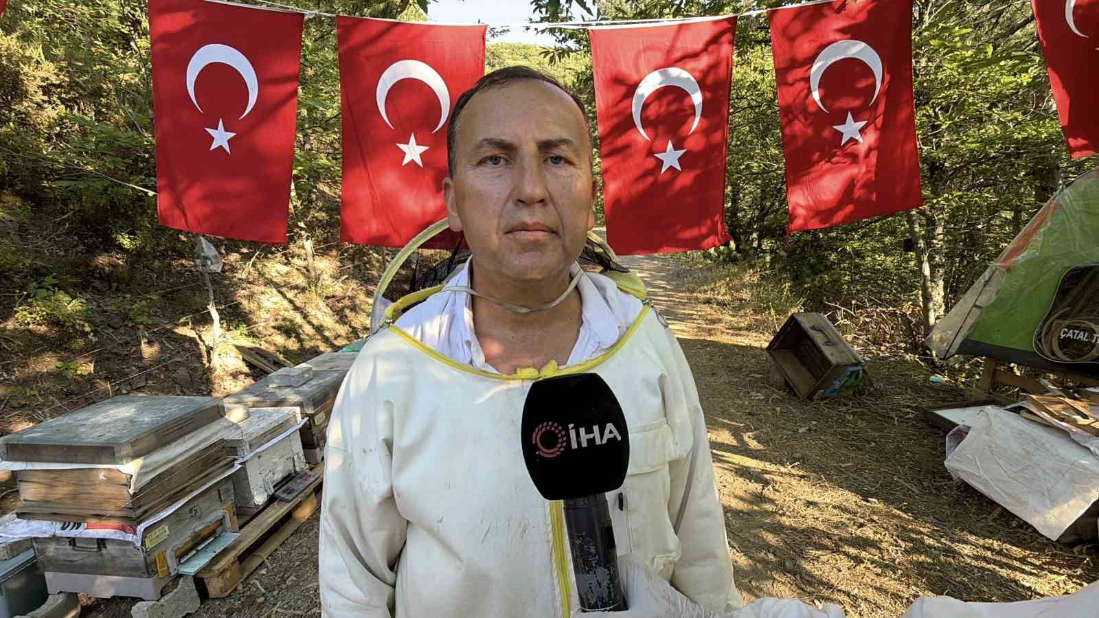 kazdaglarinda siyah bal hasadi basladi 5 CNBzklLI