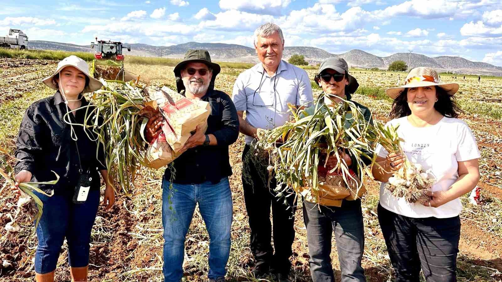 KBÜ, sarımsakta Fusarium hastalıklarına karşı bilimsel çözüm geliştirdi 4 kbu sarimsakta fusarium hastaliklarina karsi bilimsel cozum gelistirdi 0 CzaA4Xzi