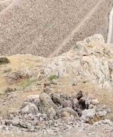 kebanda-dag-kecileri-suru-halinde-goruldu-y9IFZweZ.jpg