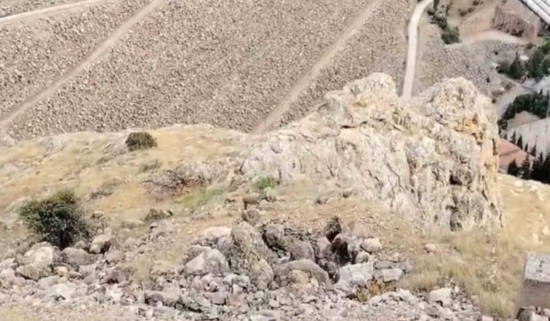 kebanda-dag-kecileri-suru-halinde-goruldu-y9IFZweZ.jpg