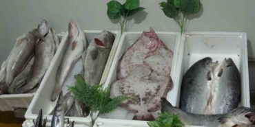kebap-sehri-gaziantepin-yeni-gozdesi-balik-DvYuQC5L.jpg