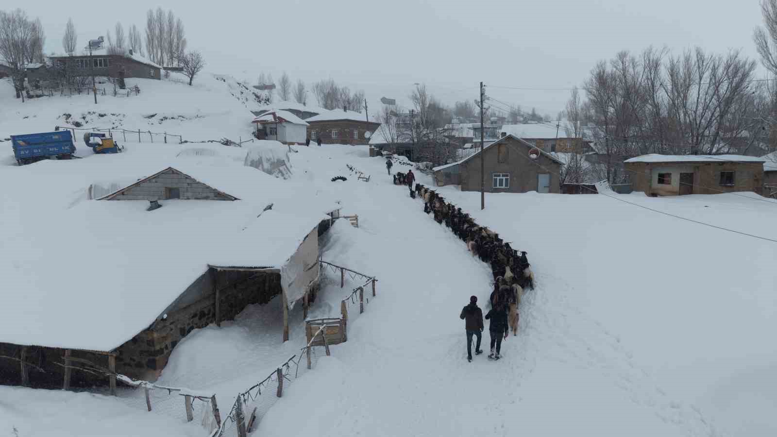 keci surusu 4 saatlik zorlu yolculukla koye ulastirildi 0 zEJphDSX