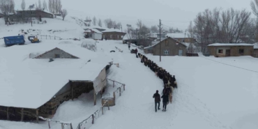keci-surusu-4-saatlik-zorlu-yolculukla-koye-ulastirildi-1CWKdD9a.jpg