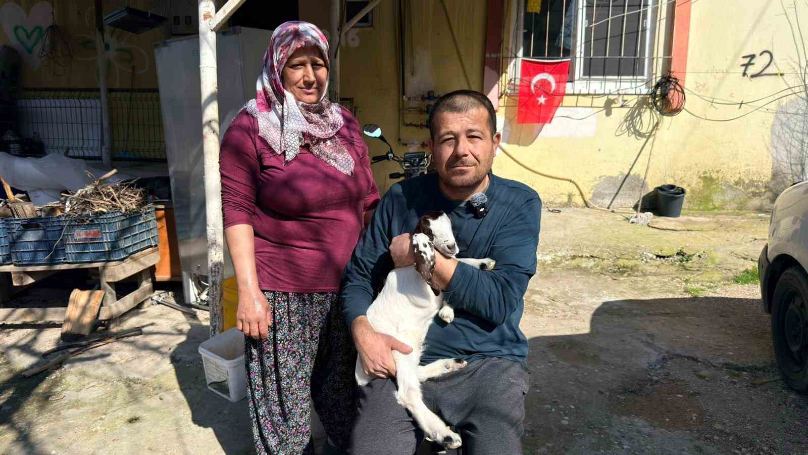 kecilerine olan sevgisini teknolojiyle birlestirdi anbean onlari izliyor 1 N382POZb