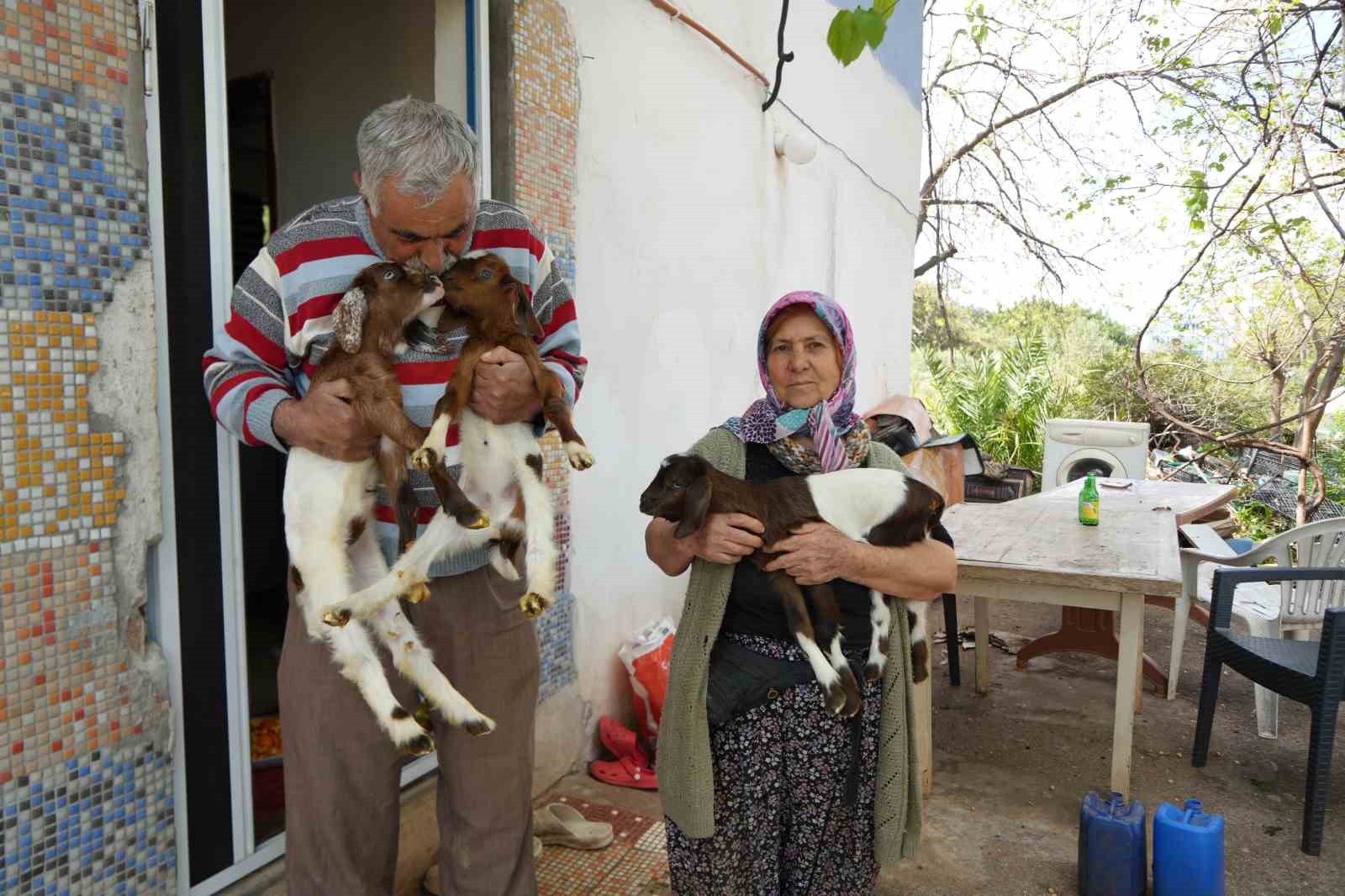 kecileriyle omur gecirdiler sikayetle yikildilar uykularimiz kacti 1 zKB2rDZP
