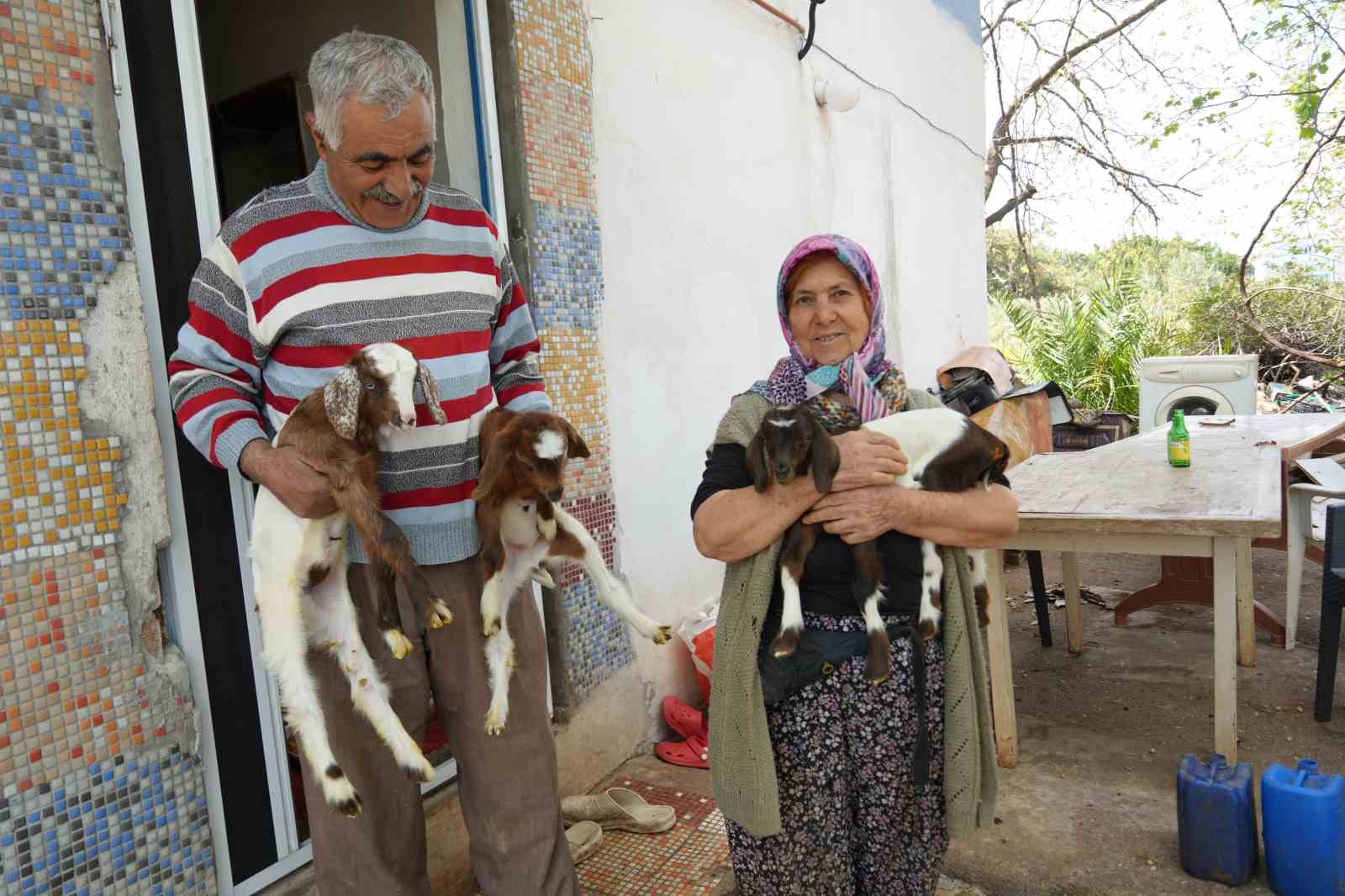kecileriyle omur gecirdiler sikayetle yikildilar uykularimiz kacti 6 FLnzKG1X