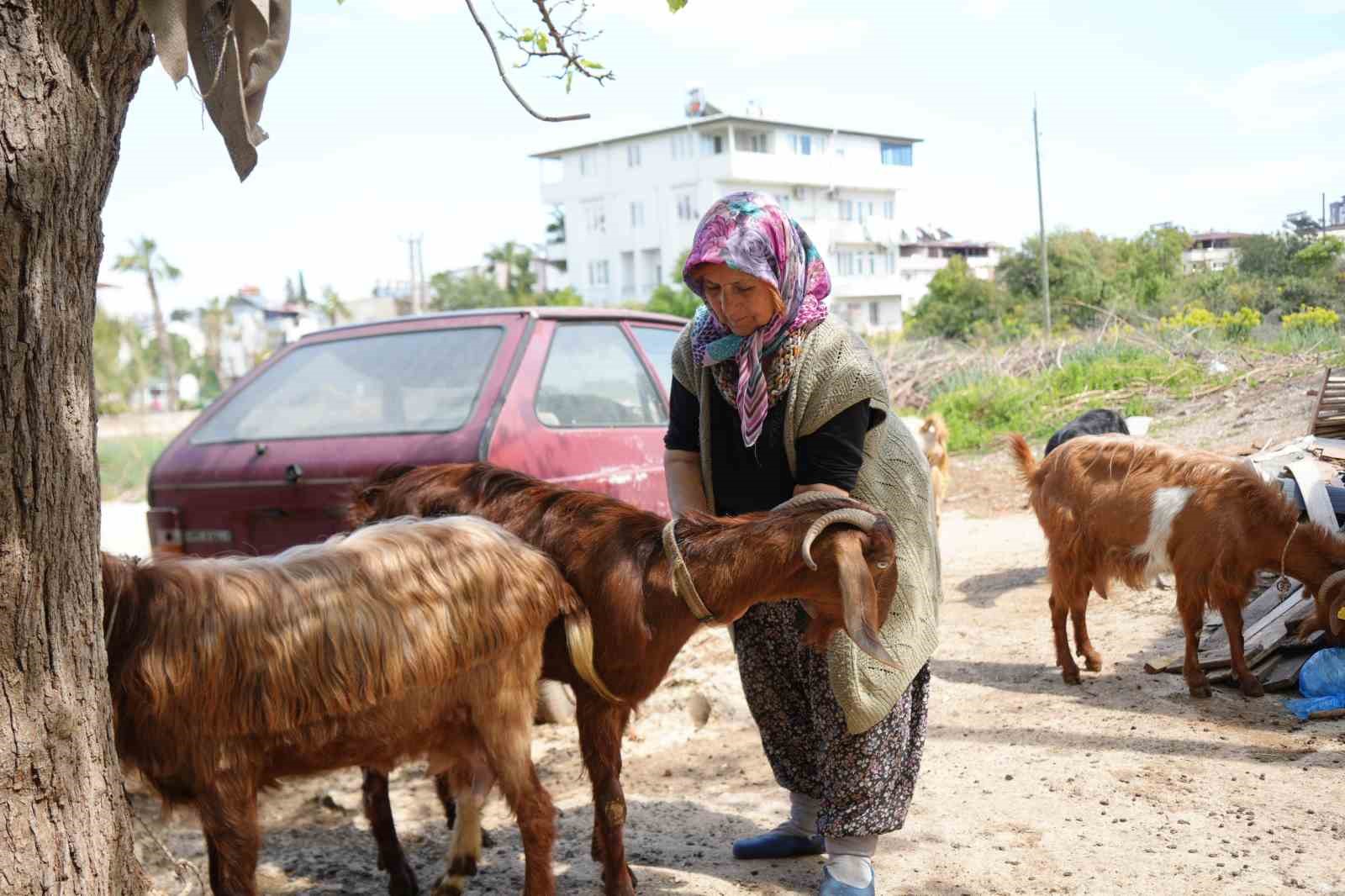 kecileriyle omur gecirdiler sikayetle yikildilar uykularimiz kacti 7 VPaVD6v5