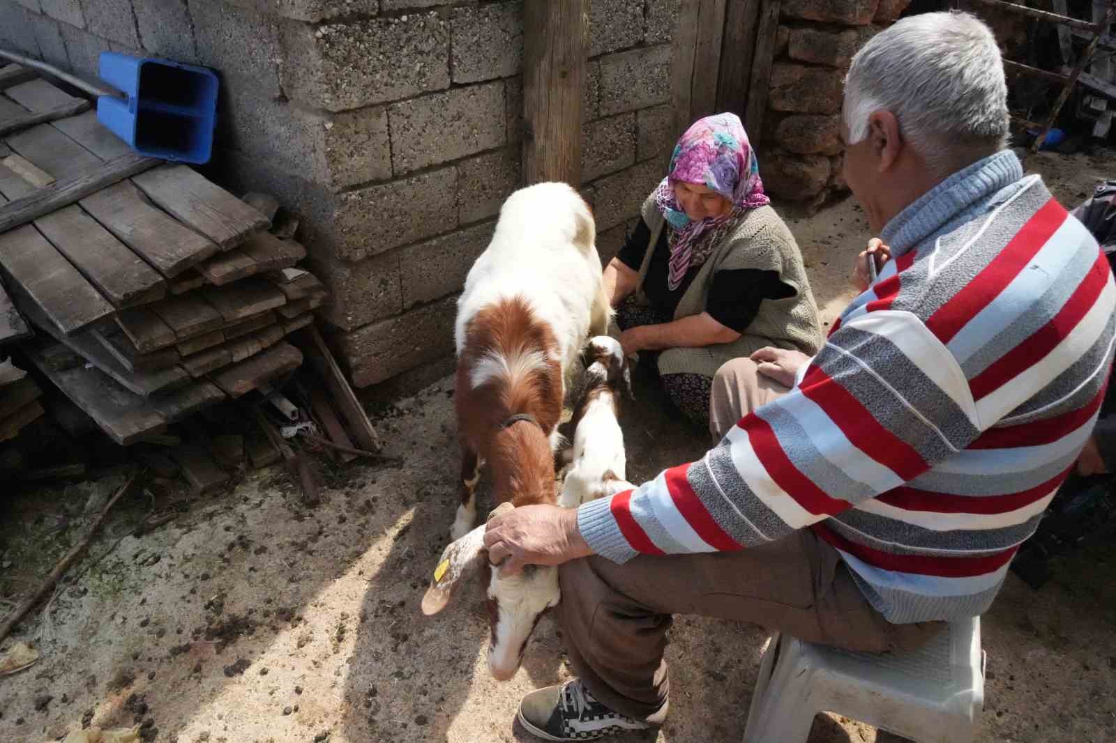 kecileriyle omur gecirdiler sikayetle yikildilar uykularimiz kacti 8