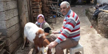 kecileriyle-omur-gecirdiler-sikayetle-yikildilar-uykularimiz-kacti-Ljl7wL72.jpg