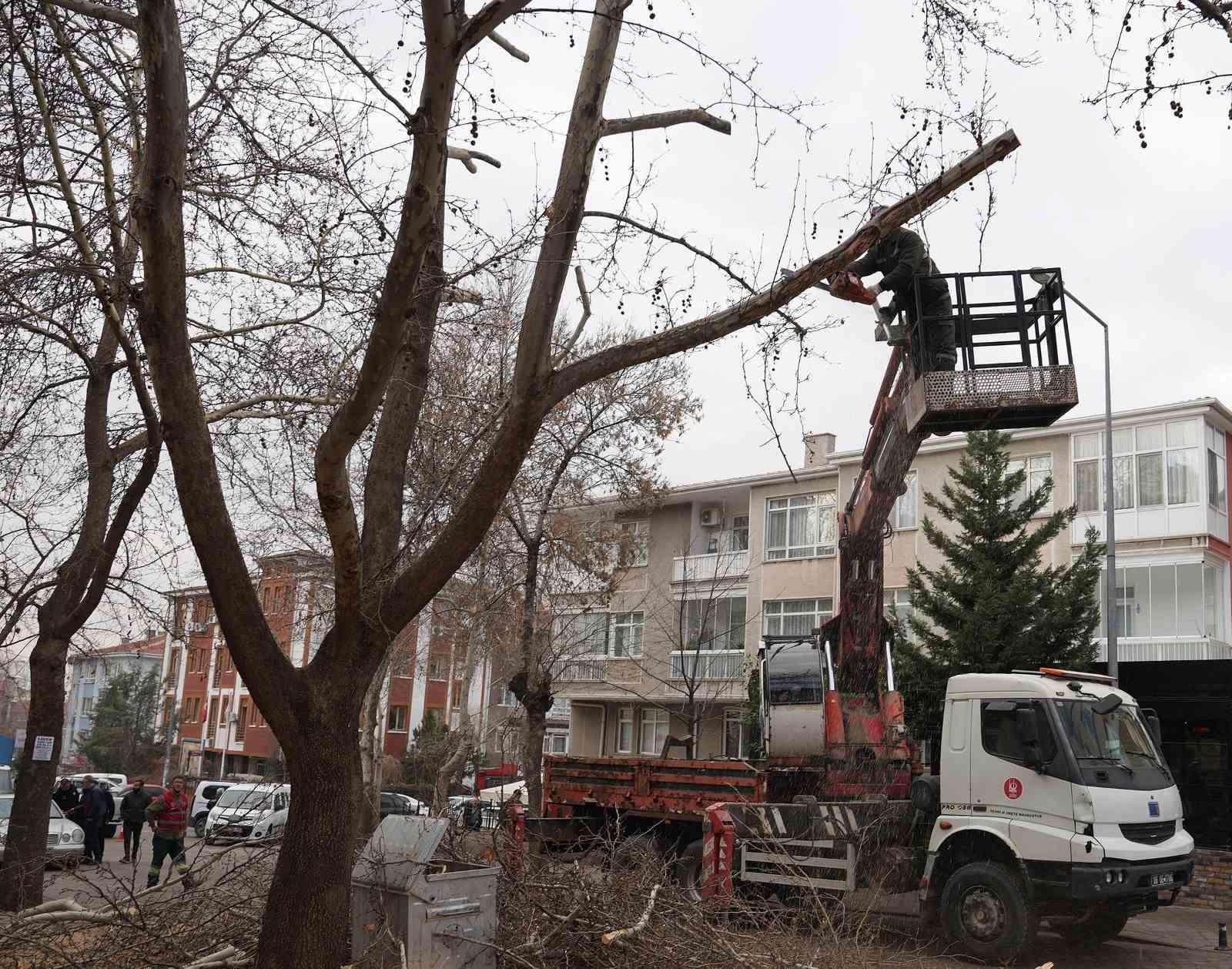 kecioren belediyesi park ve yesil alanlardaki bakim calismalarina devam ediyor 0 eCzUhGd4