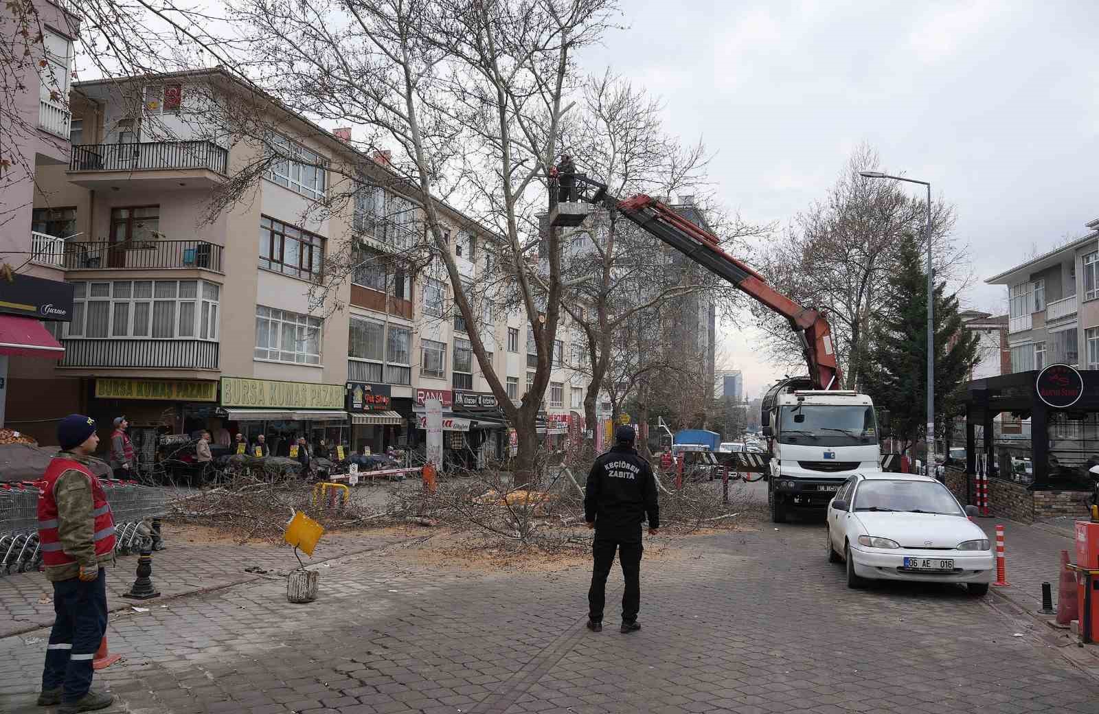 kecioren belediyesi park ve yesil alanlardaki bakim calismalarina devam ediyor 5 zpKHOg3K