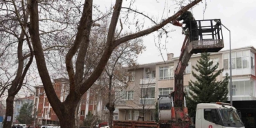 kecioren-belediyesi-park-ve-yesil-alanlardaki-bakim-calismalarina-devam-ediyor-HNsMITG5.jpg
