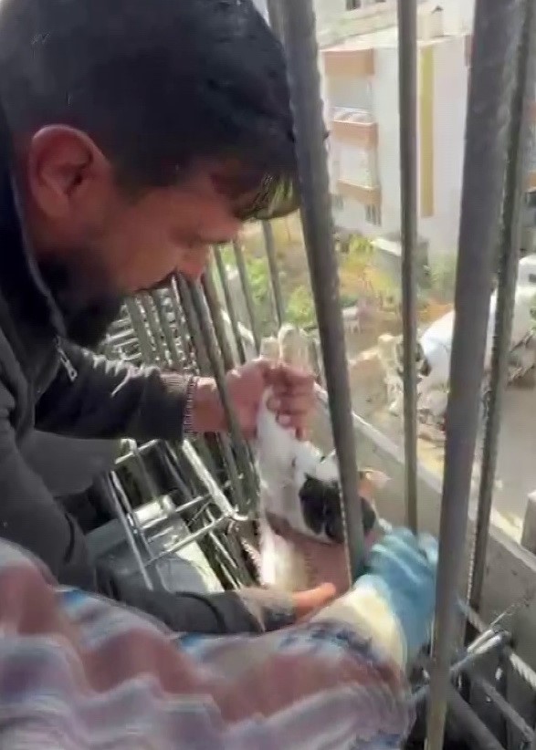 kedi dokulen betonun altinda kalmaktan son anda kurtarildi 0 AjHyzvVL