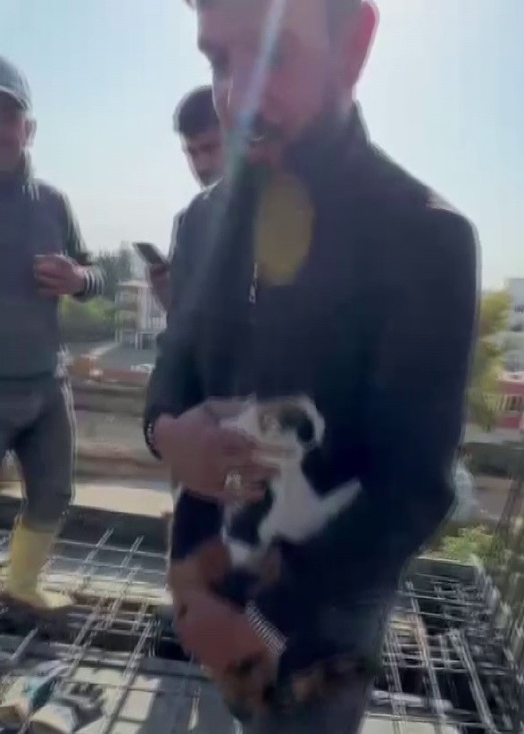 kedi dokulen betonun altinda kalmaktan son anda kurtarildi 1 3QuYdAK1