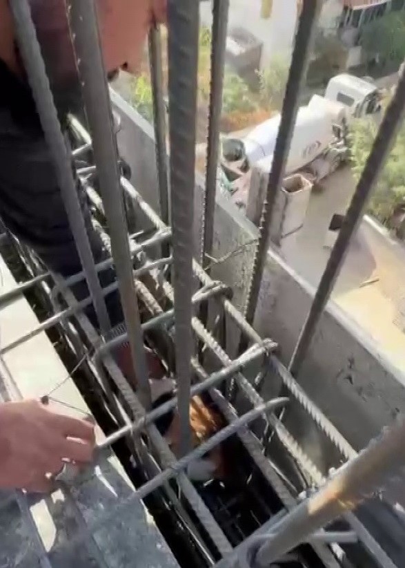kedi dokulen betonun altinda kalmaktan son anda kurtarildi 3 7i5Nhk5I