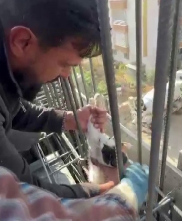 kedi-dokulen-betonun-altinda-kalmaktan-son-anda-kurtarildi-nLRDIl2M.jpg
