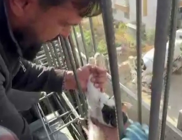 kedi-dokulen-betonun-altinda-kalmaktan-son-anda-kurtarildi-nLRDIl2M.jpg