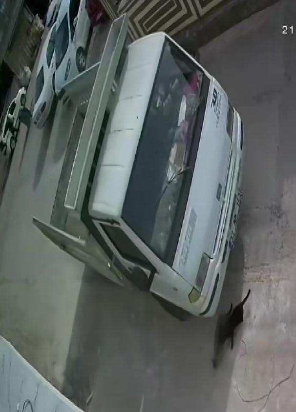kedi ezen surucuye hayvan barinaginda calisma cezasi 5 9HKYMKP1